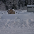 вырвалась, прыгнула