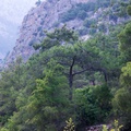 Природа