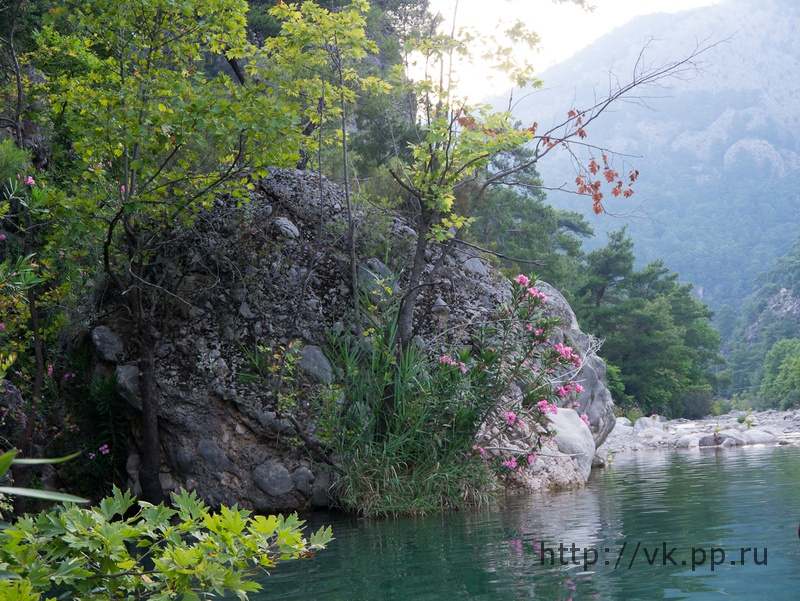Природа