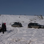 Засажу паркетоса 10.03.2014